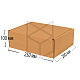 Коробка самосборная 250х200х100 Т22Е Бурый